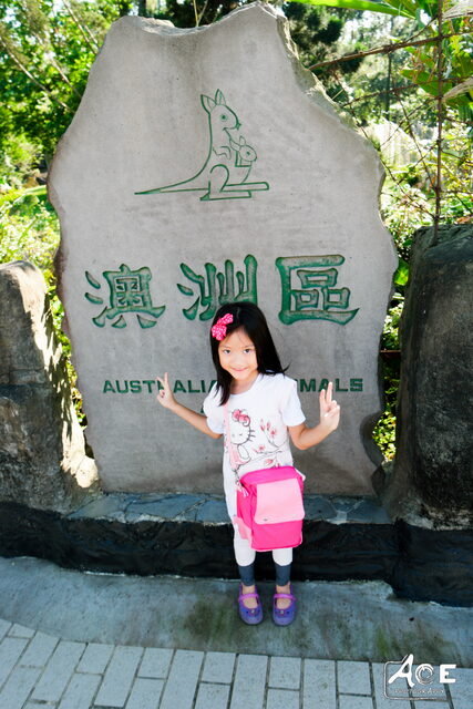 SAM_1555