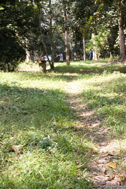 IMG_6418 (Medium)