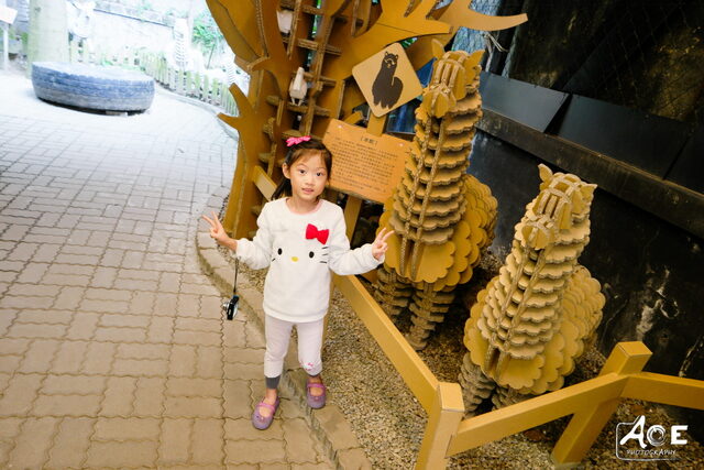 SAM_0902