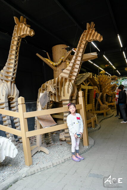 SAM_0908