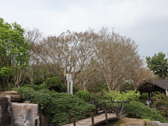 5K2A0408