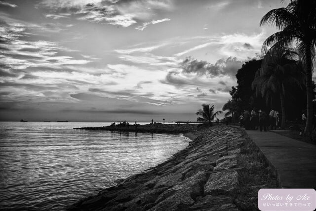 IMG_9178-Edit