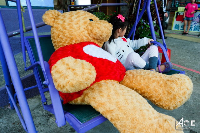 SAM_1052