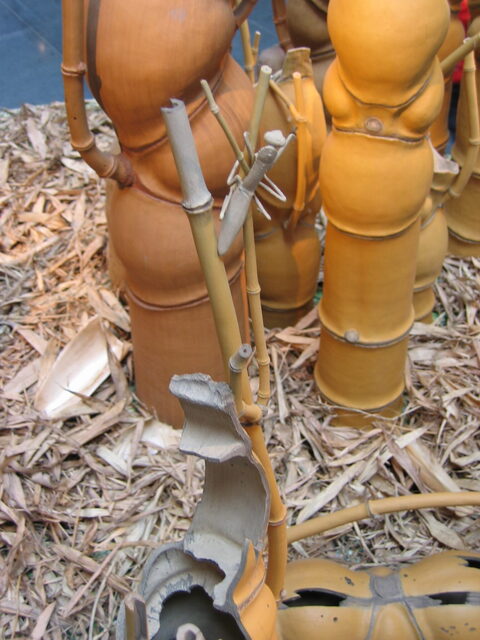 taiwan 2008-09 117