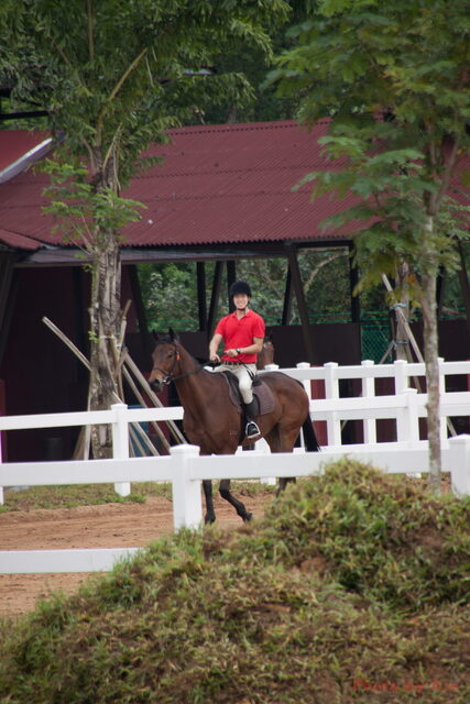 IMG_9913