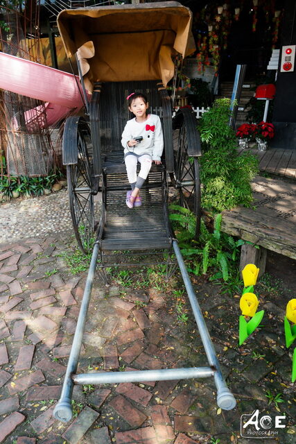 SAM_0963