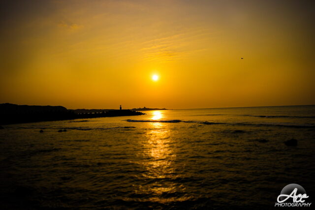 SAM_2097