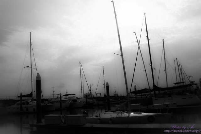 IMG_5786