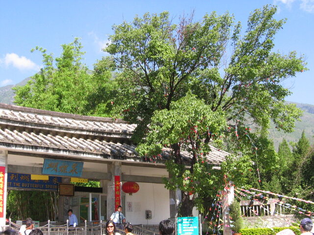 照片 (568)