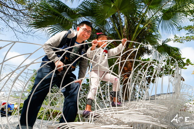 SAM_0916