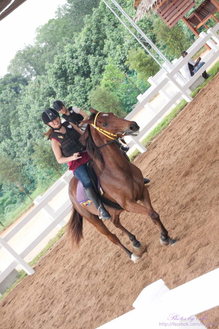 IMG_3984