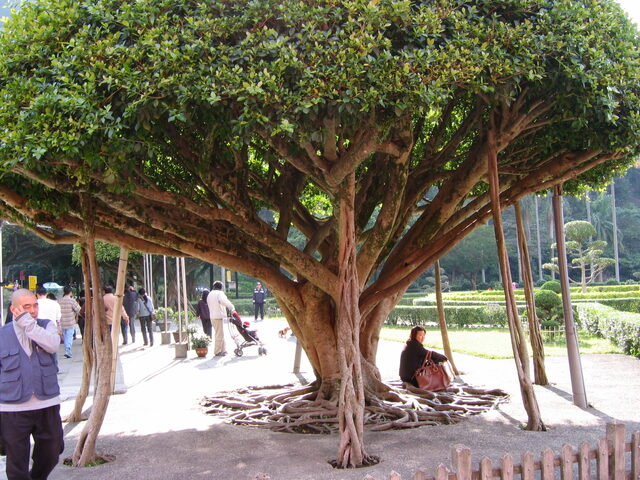 taiwan 2008-09 142