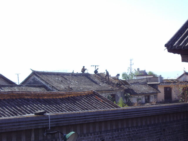 照片 (562)