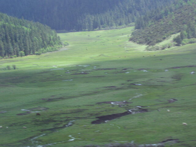 照片 (973)