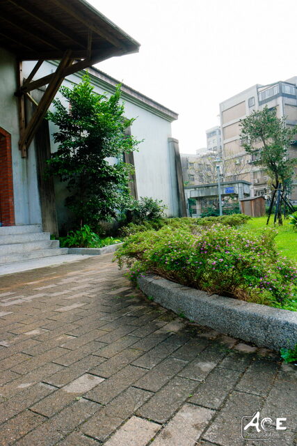 SAM_2009