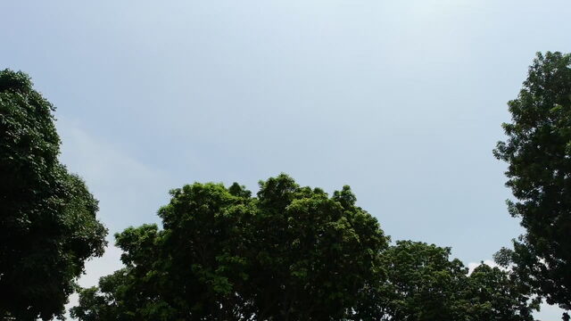 04280421