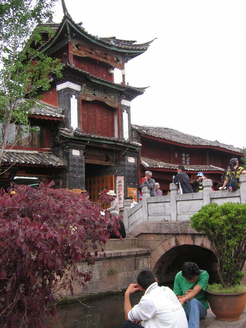 照片 (691)