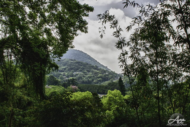 IMG_4258_HDR