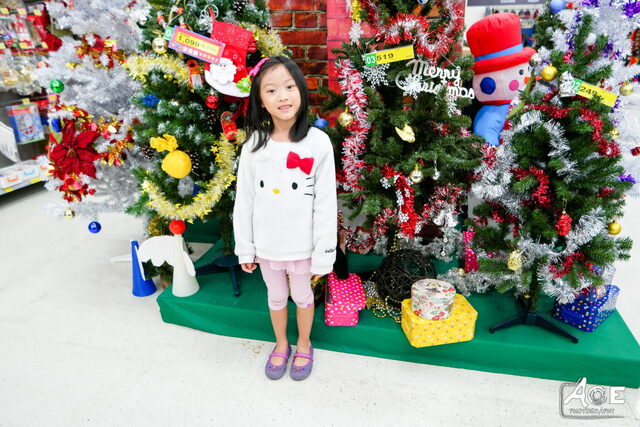 SAM_0867