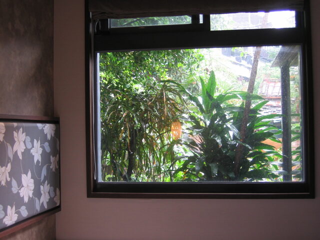 taiwan 2008-09 022