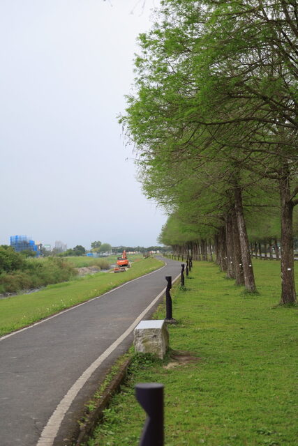 5K2A1333