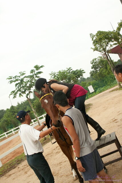 IMG_3742