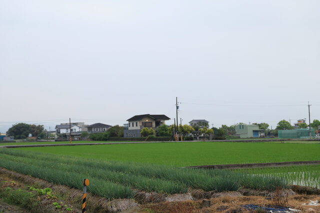 5K2A1335
