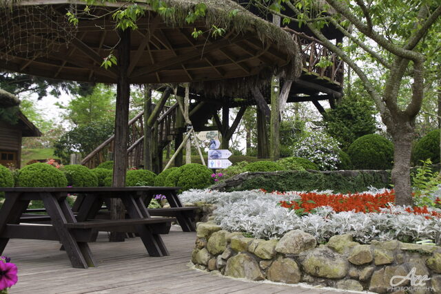 IMG_2867
