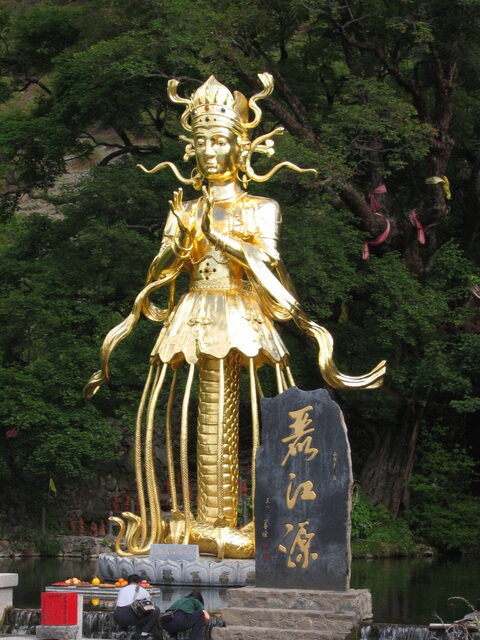 照片 (823)