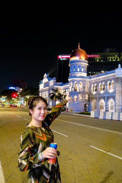 SAM_2454