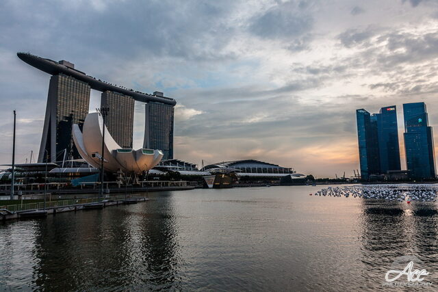 IMG_1715