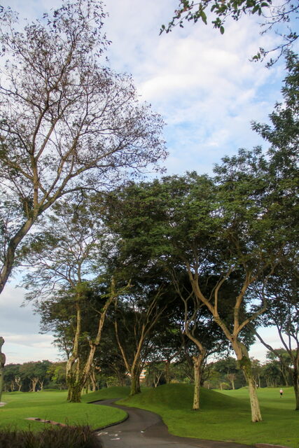 MNDRC_497