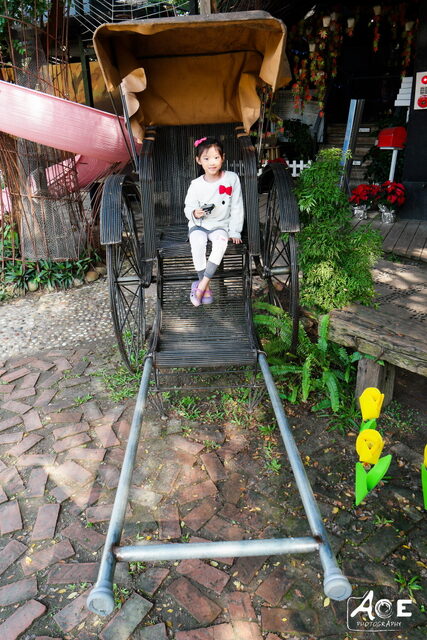 SAM_0962