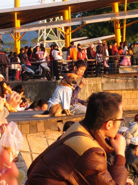 taiwan 2008-09 230