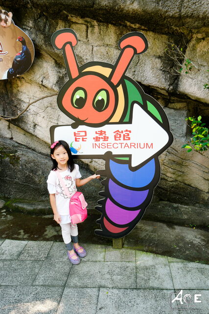 SAM_1513