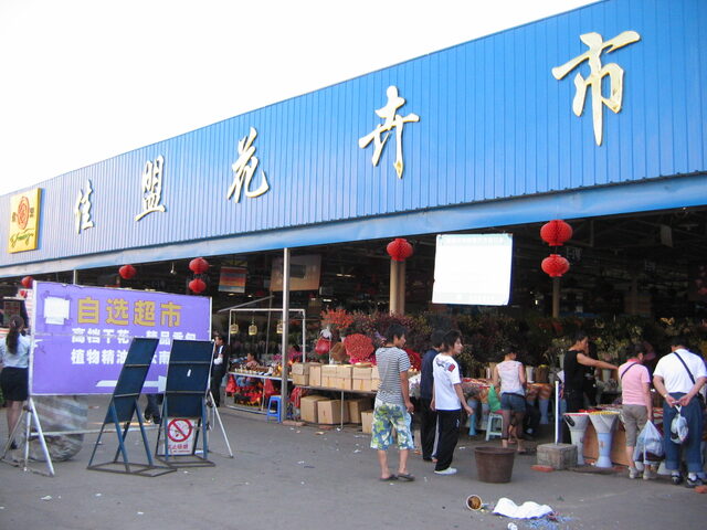 照片 (1169)