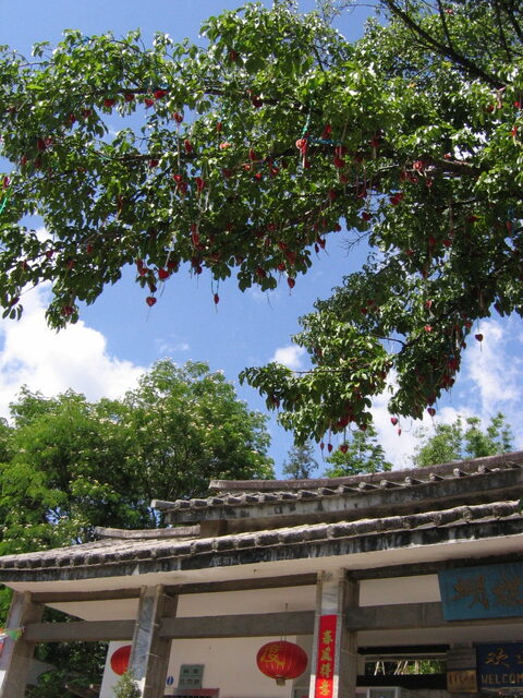 照片 (634)