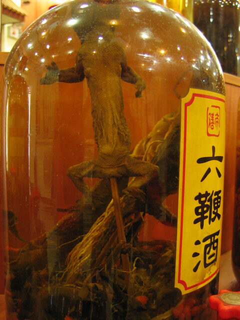 照片 (1131)