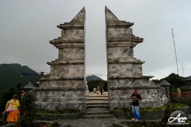 SAM_2796