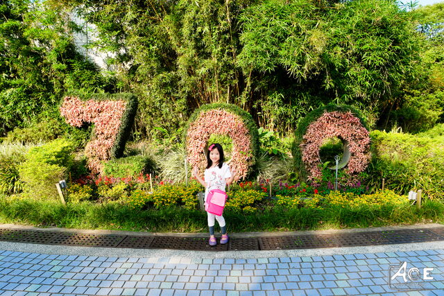 SAM_1580