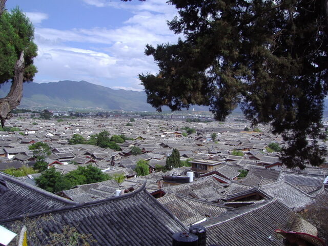 照片 (693)