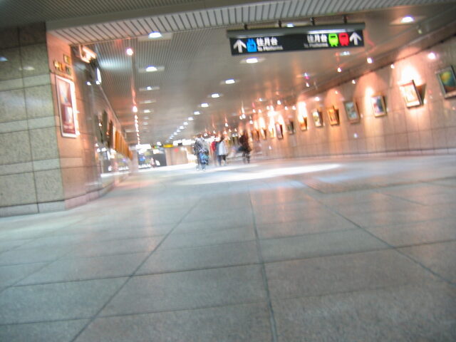 taiwan 2008-09 060