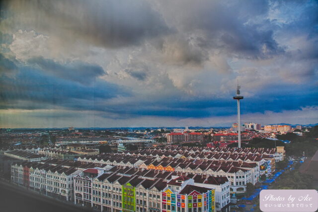 IMG_9147-Edit