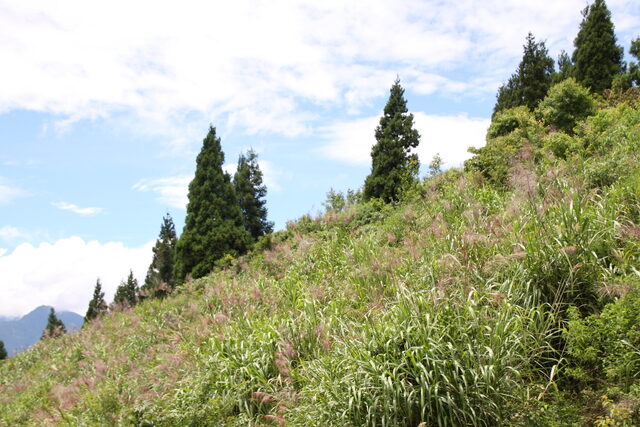IMG_4999
