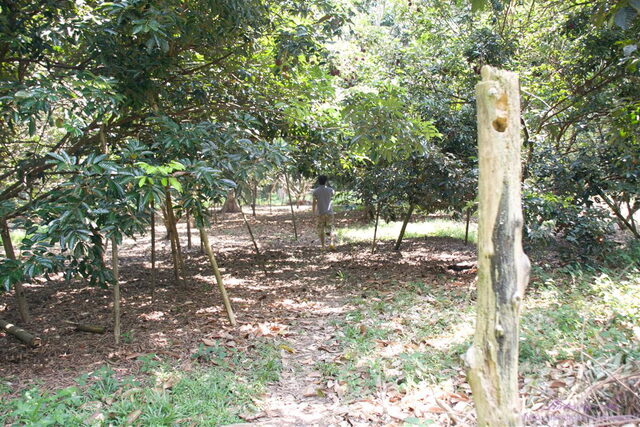 IMG_6421 (Medium)