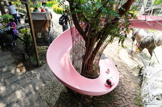 SAM_1000