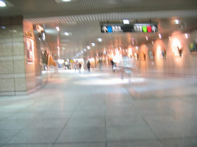 taiwan 2008-09 057
