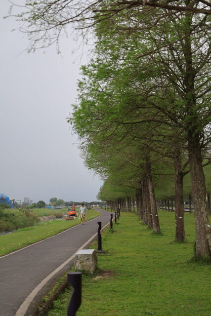 5K2A1332