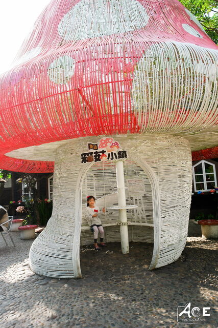 SAM_0971