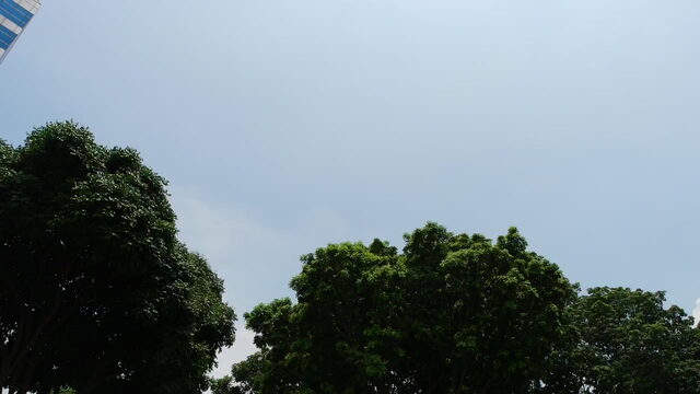 04280420